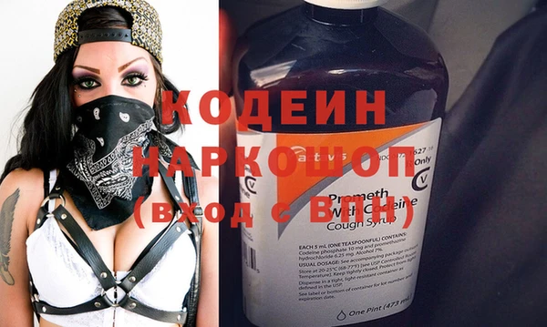 гидра Нестеровская