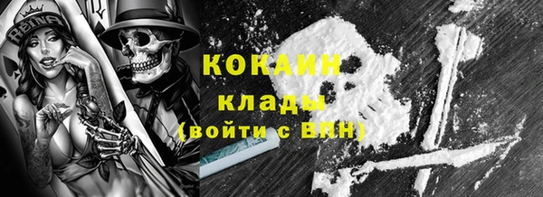 гидра Нестеровская