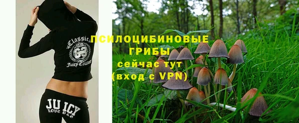 MDMA Premium VHQ Александровское