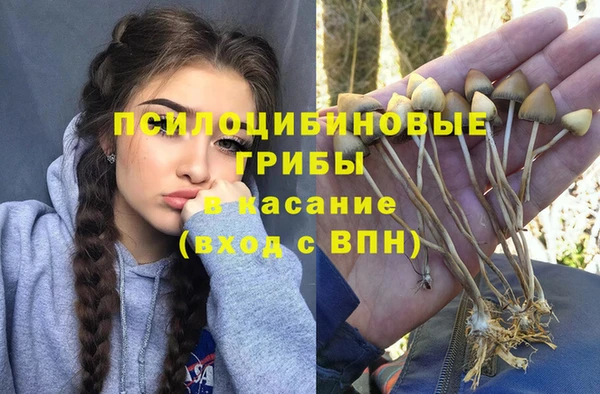 кокс Калининец