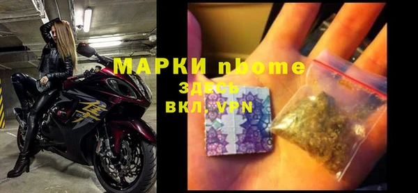 прущие грибы Фёдоровский