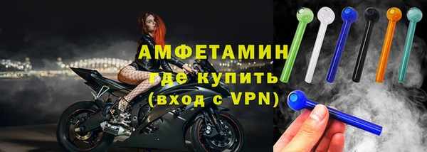 гидра Нестеровская