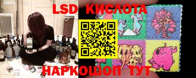 прущие грибы Нарткала