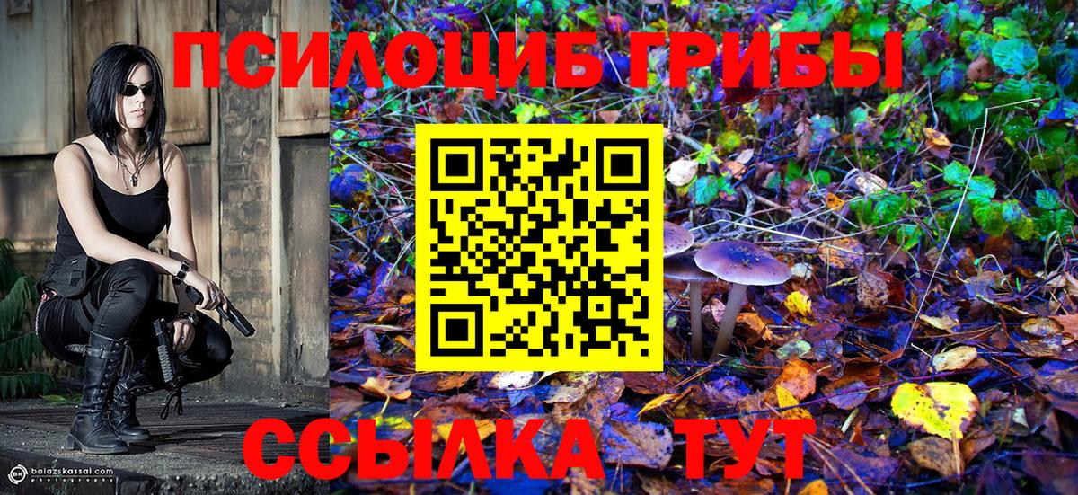 Армавир  Псилоцибиновые грибы ЛСД  Вход с VPN  где продают наркотики  Галлюциногенные грибы мицелий 